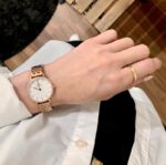 Daniel Wellington Petite Lumine Bezel 5-Link Melrose First Copy Watch