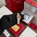Cartier Panthere De Santos Brown Dial 22mm Quartz - Image 4