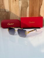 Cartier Sunglasses Black-Grey