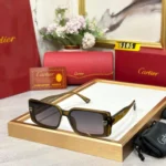 Cartier Wayfarer Women Black-Gray UV Protection