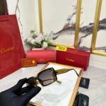 Cartier Wayfarer Women Black-Gray UV Protection - Image 2